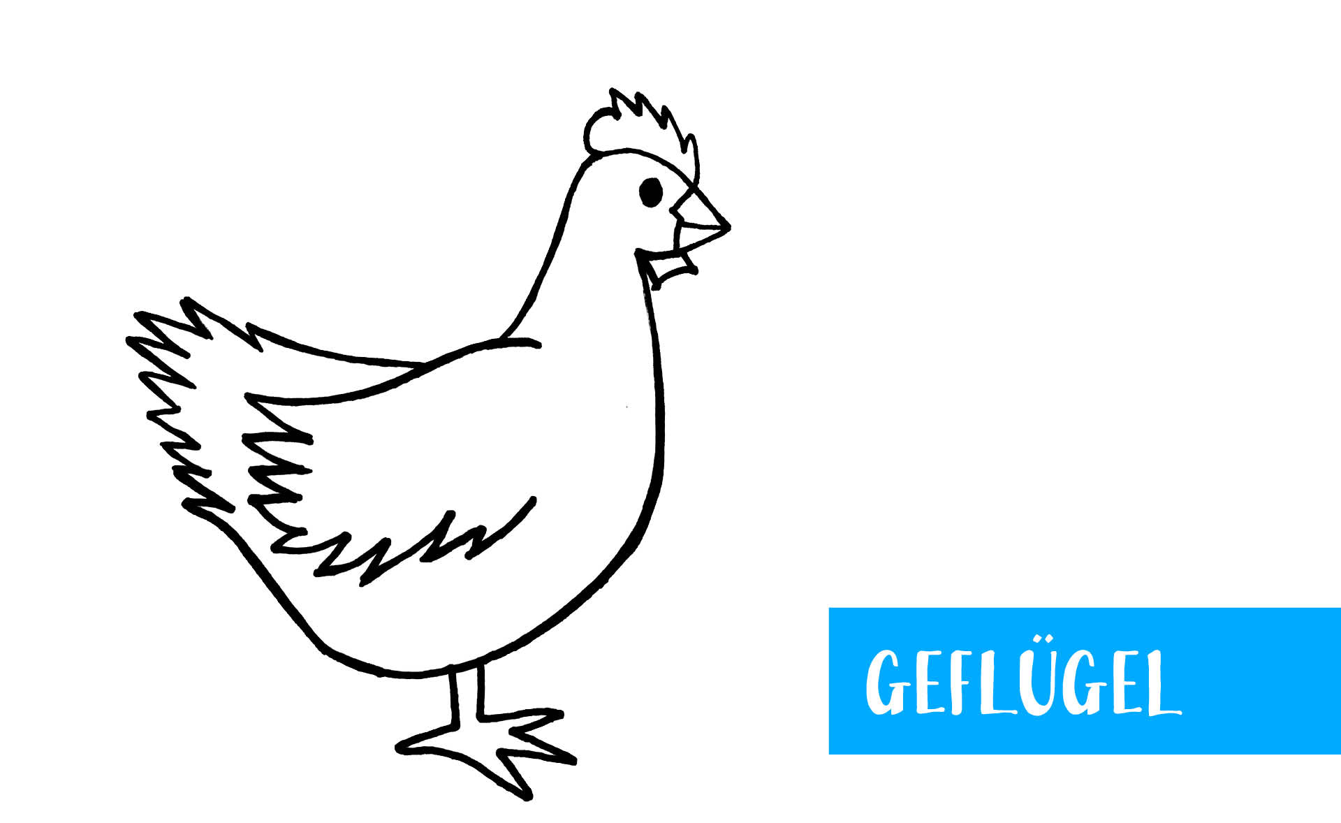 Zeichnung von Huhn