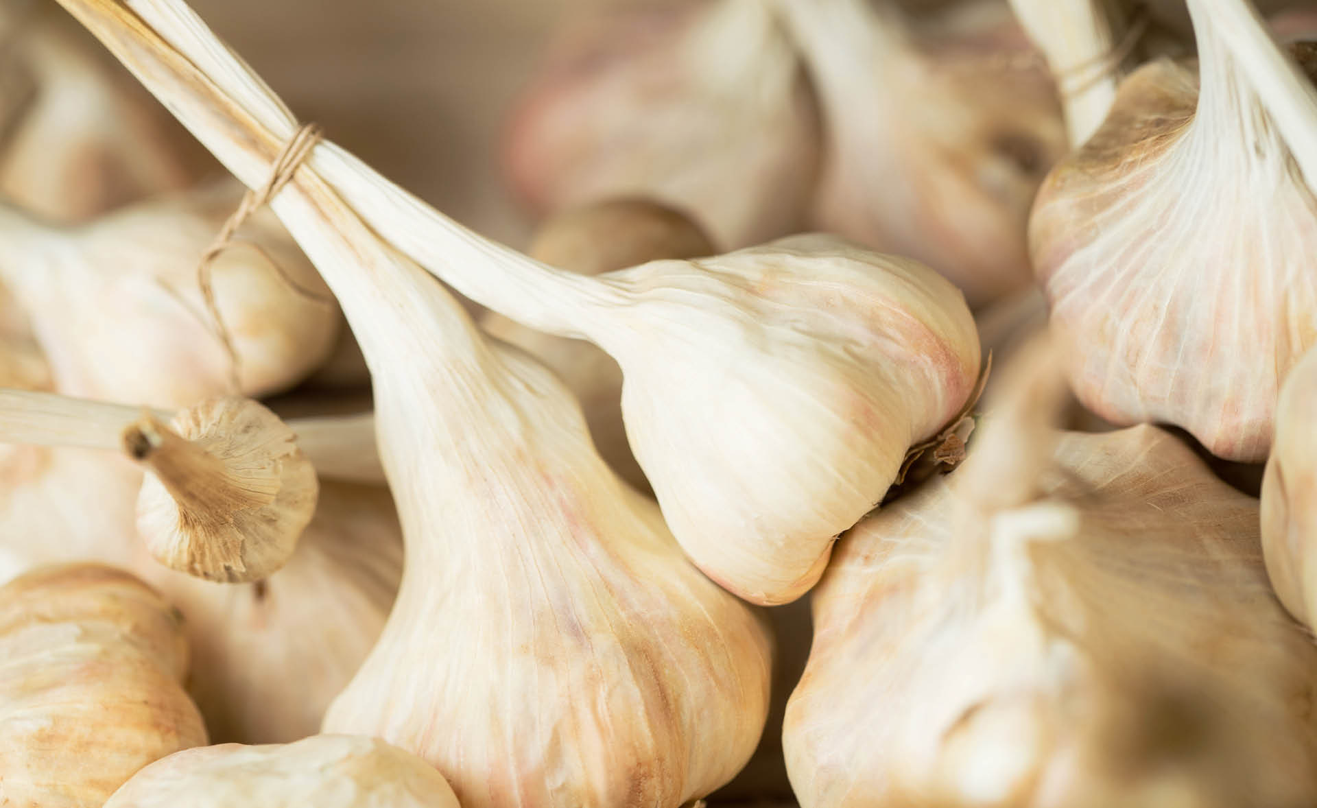 Foto von Knoblauch