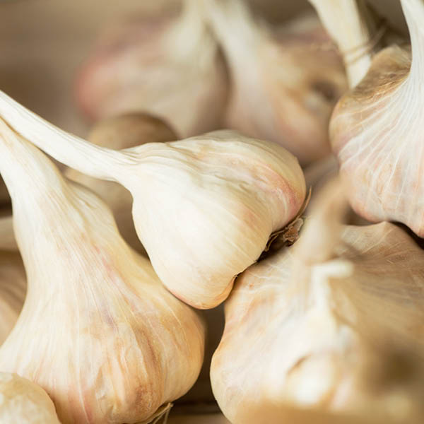 Foto von Knoblauch